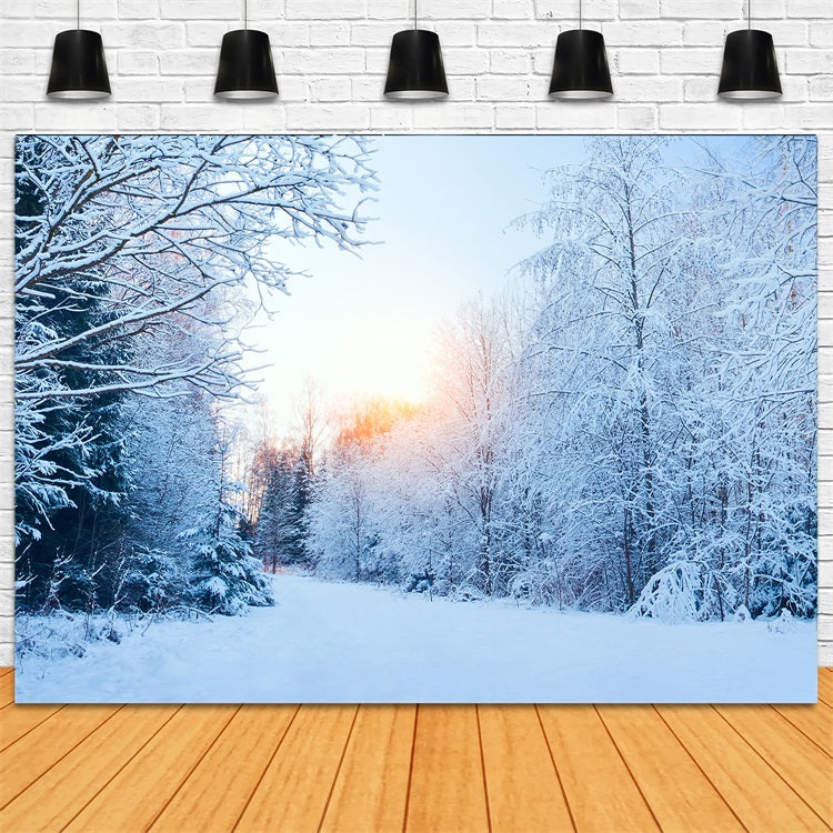 Winter Wonderland Backdrop Snowy Landscape Sunlight Backdrop UK BRP11-1