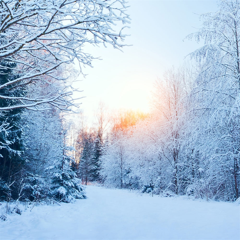 Winter Wonderland Backdrop Snowy Landscape Sunlight Backdrop UK BRP11-1