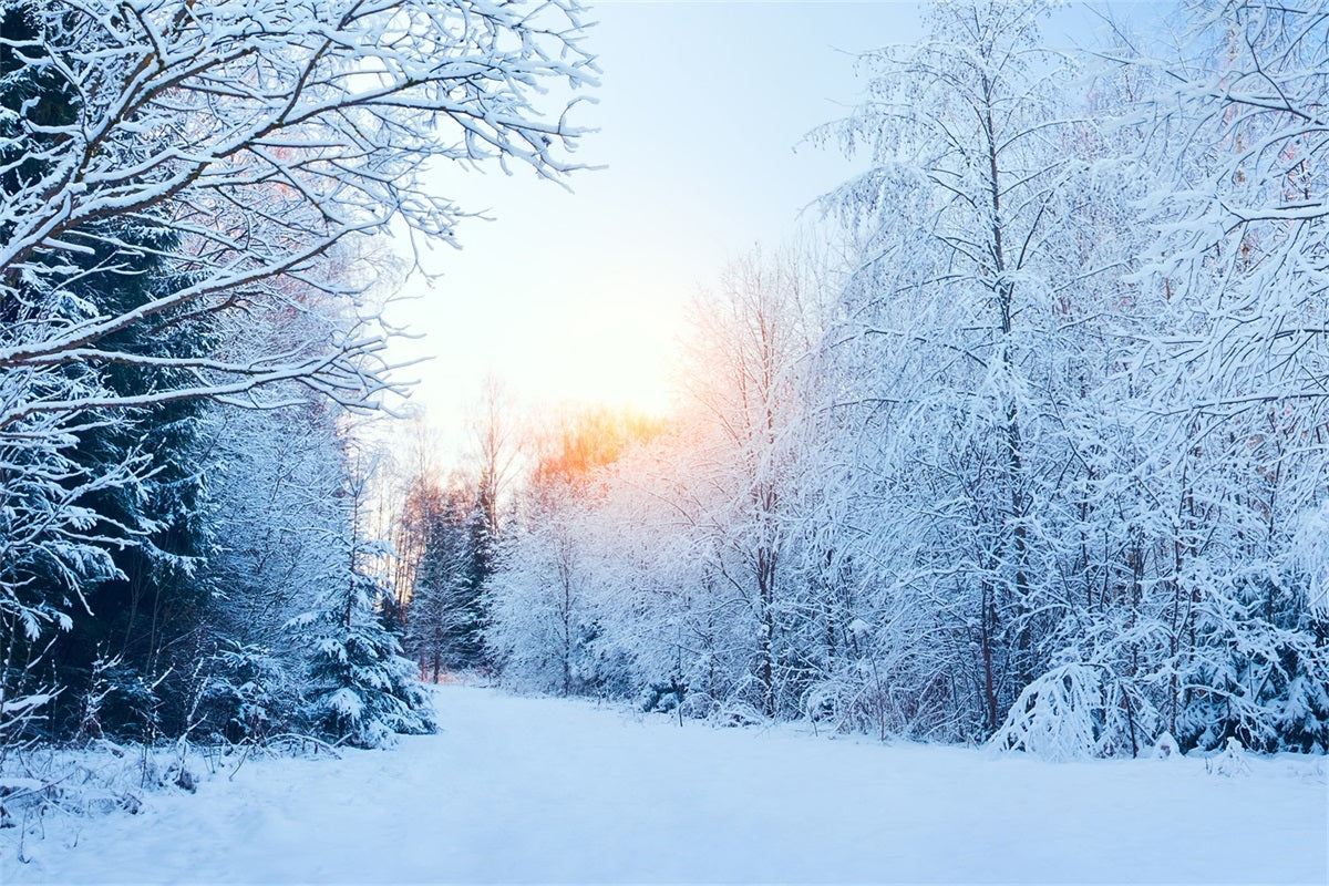 Winter Wonderland Backdrop Snowy Landscape Sunlight Backdrop UK BRP11-1