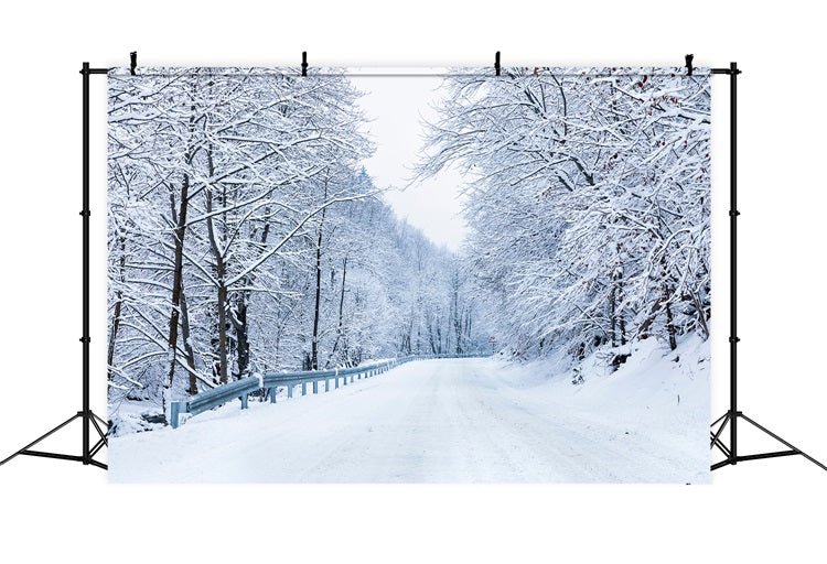 Winter Photo Backdrop Road Leading Frosty Forest Backdrop UK BRP11-10