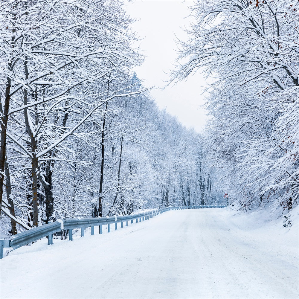 Winter Photo Backdrop Road Leading Frosty Forest Backdrop UK BRP11-10