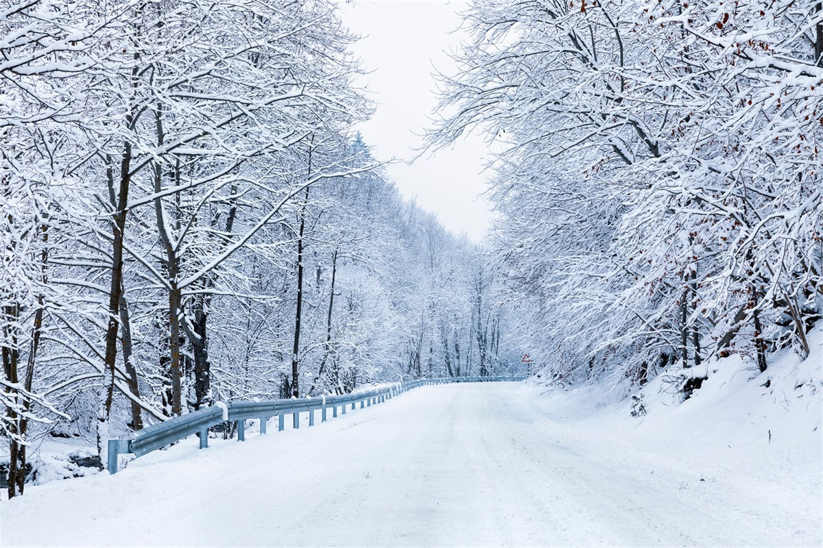 Winter Photo Backdrop Road Leading Frosty Forest Backdrop UK BRP11-10