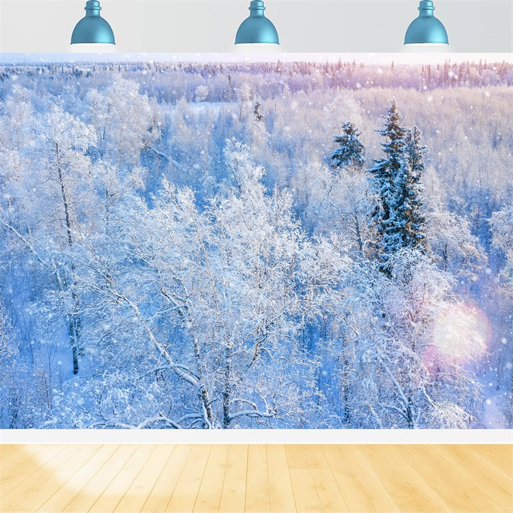 Winter Backdrop Photography Glittering Snowfall Backdrop UK BRP11-12