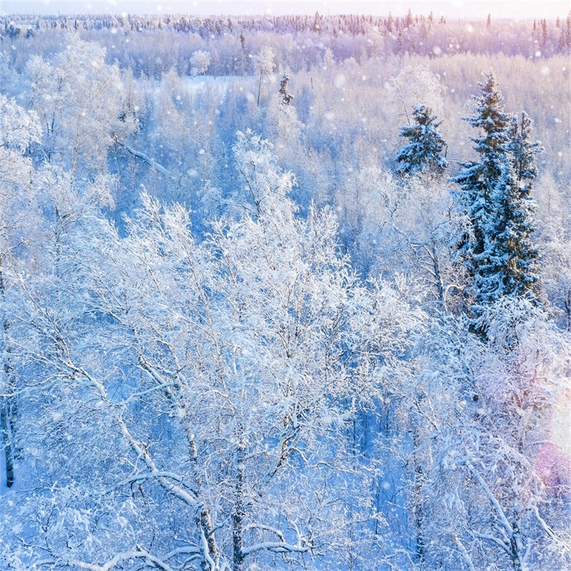 Winter Backdrop Photography Glittering Snowfall Backdrop UK BRP11-12