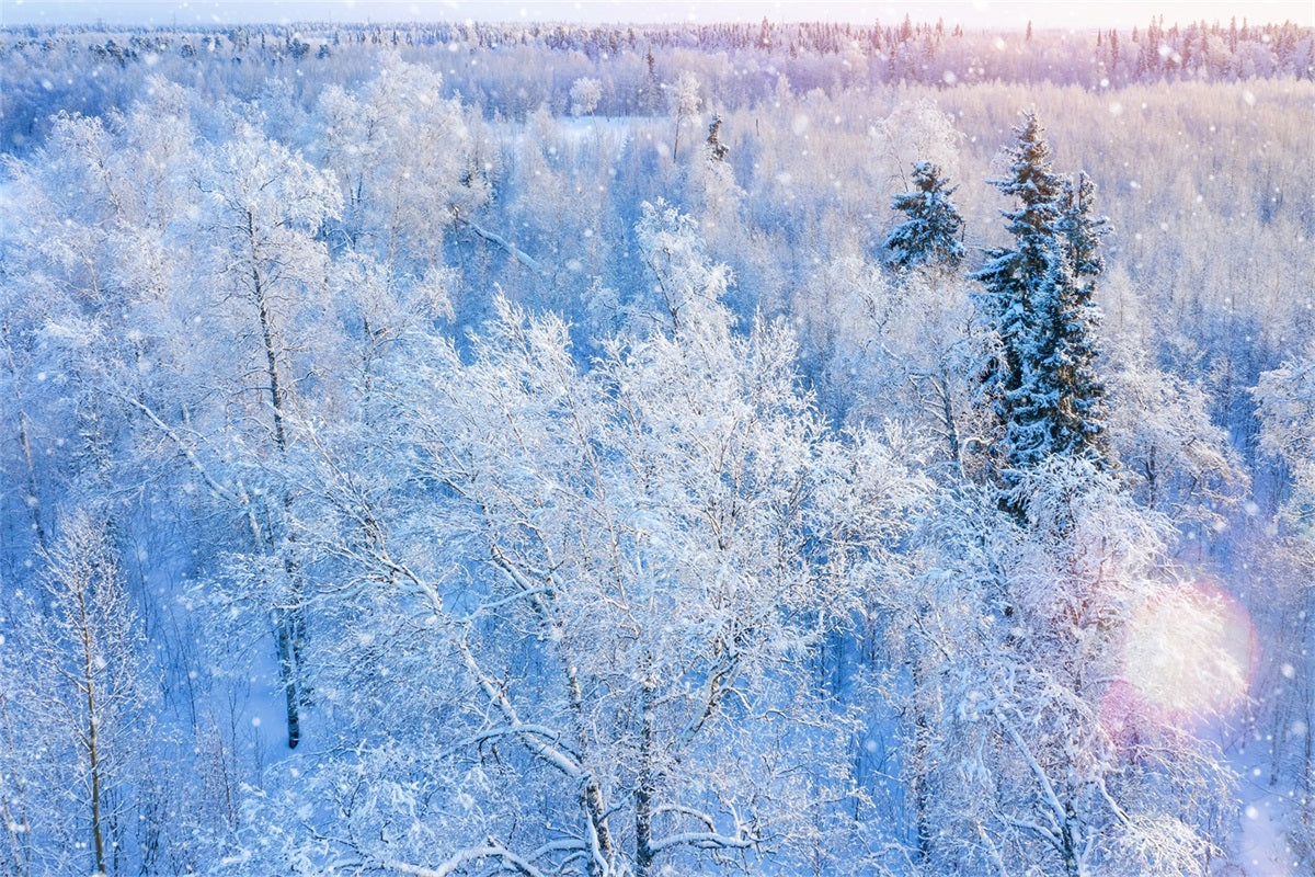 Winter Backdrop Photography Glittering Snowfall Backdrop UK BRP11-12