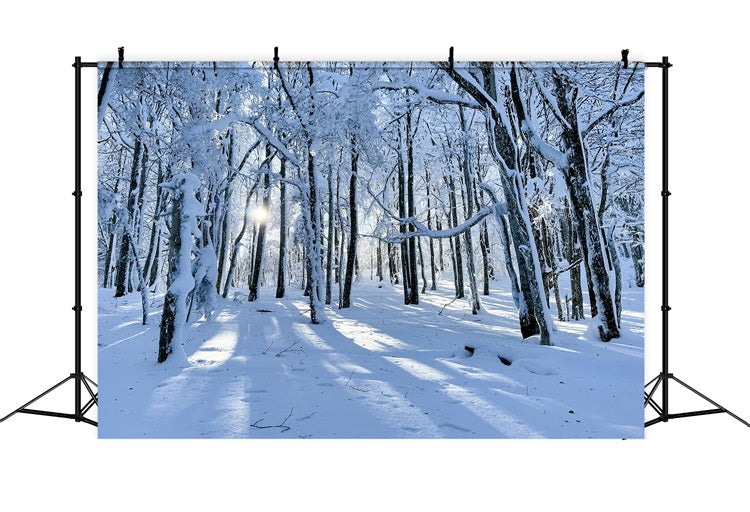 Winter Backdrops For Sale Snowy Woods Gentle Light Backdrop UK BRP11-13