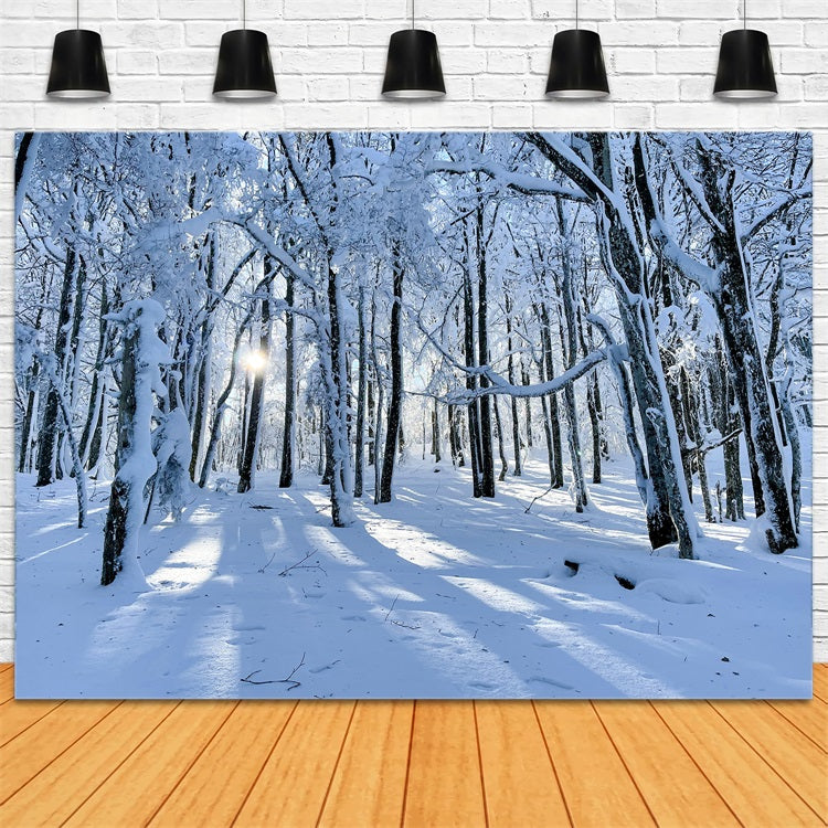 Winter Backdrops For Sale Snowy Woods Gentle Light Backdrop UK BRP11-13