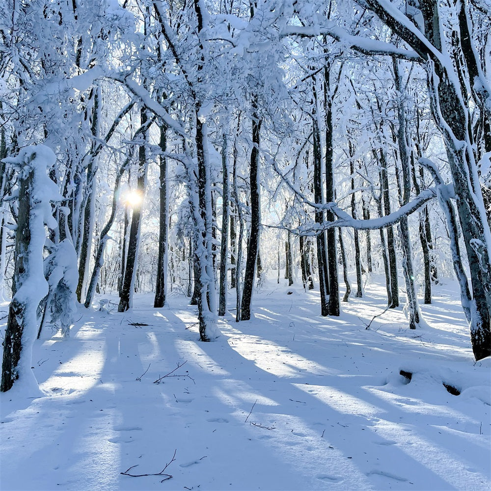 Winter Backdrops For Sale Snowy Woods Gentle Light Backdrop UK BRP11-13