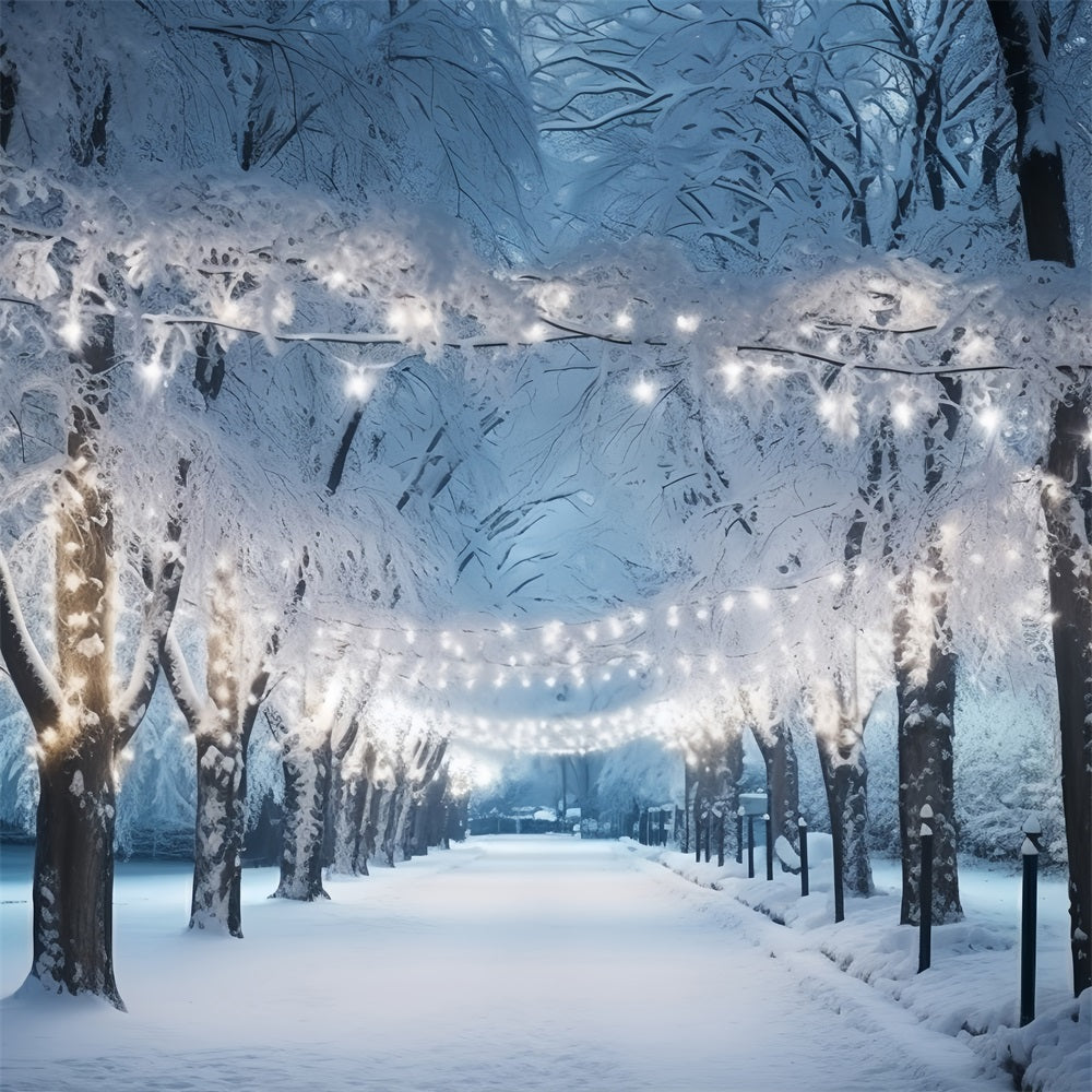 Backdrop Winter Wonderland Snowy Path Illuminated Lights Backdrop UK BRP11-15