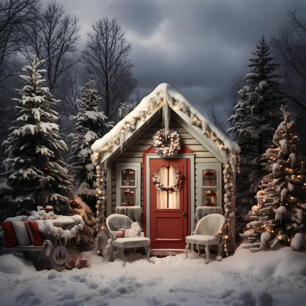 Christmas Backdrop Snowy Cottage Front Porch Backdrop UK BRP11-169