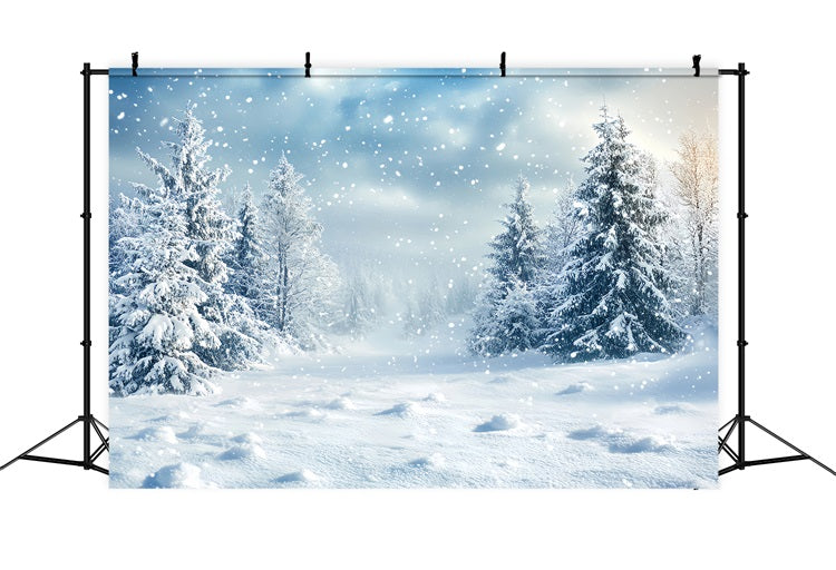 Winter Backdrop Ideas Fluffy Snowflakes Backdrop UK BRP11-18