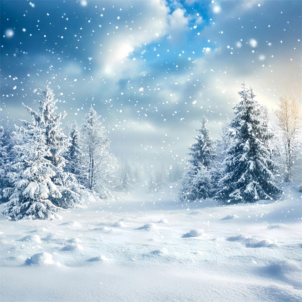 Winter Backdrop Ideas Fluffy Snowflakes Backdrop UK BRP11-18