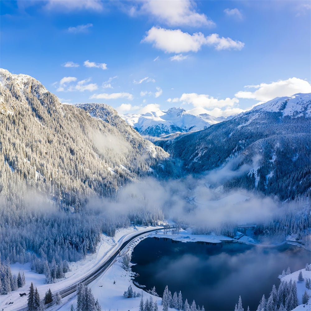 Winter Snow Backdrop Snow Aerial View Landscape Backdrop UK BRP11-19