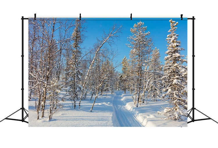 Winter Photo Backdrop Snowy Forest Clear Sky Backdrop UK BRP11-2