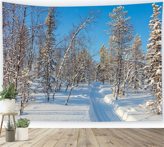 Winter Photo Backdrop Snowy Forest Clear Sky Backdrop UK BRP11-2