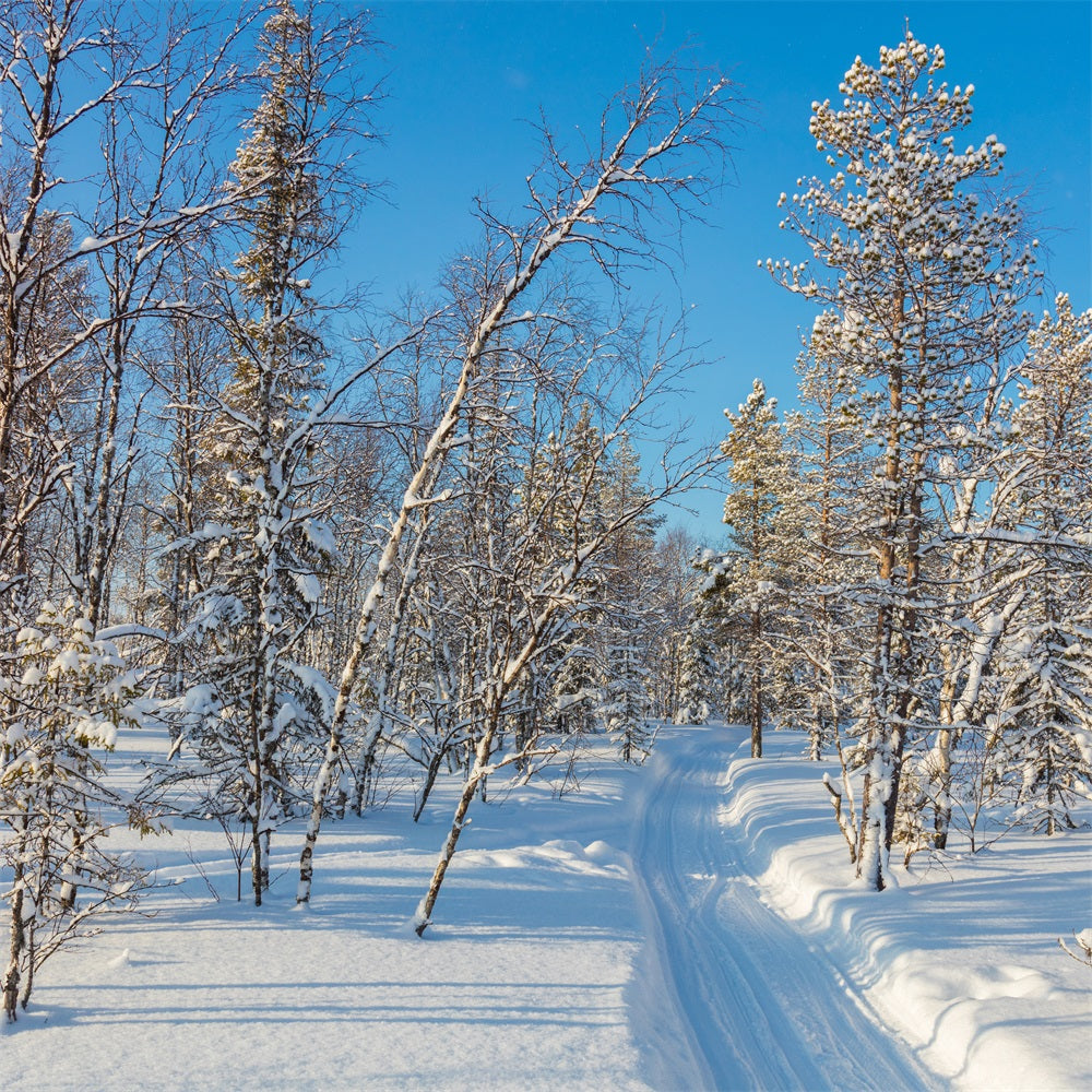 Winter Photo Backdrop Snowy Forest Clear Sky Backdrop UK BRP11-2