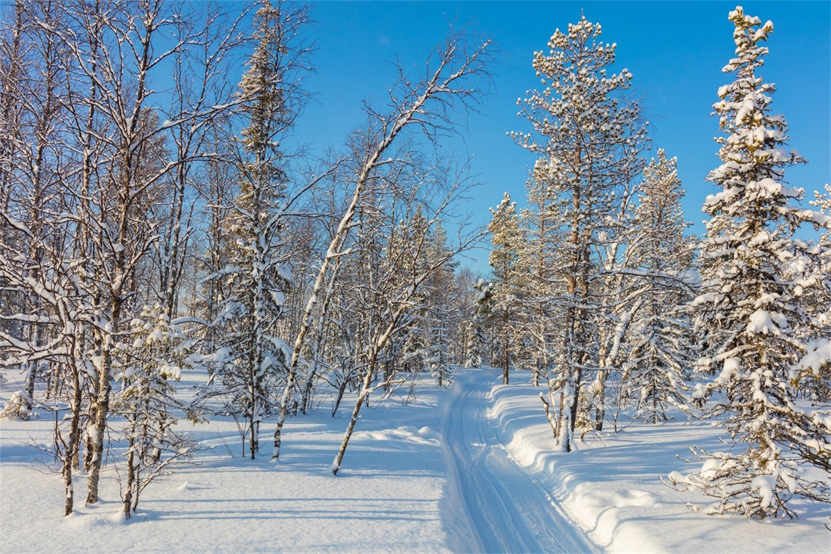 Winter Photo Backdrop Snowy Forest Clear Sky Backdrop UK BRP11-2