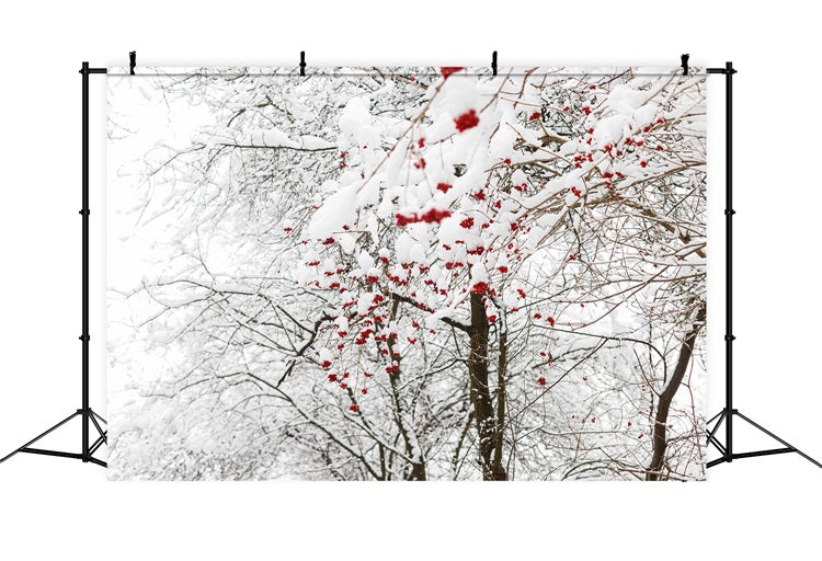 Winter Backdrops Photos Vibrant Red Berries Snow Backdrop UK BRP11-20