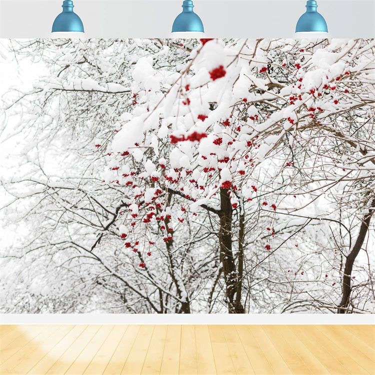 Winter Backdrops Photos Vibrant Red Berries Snow Backdrop UK BRP11-20