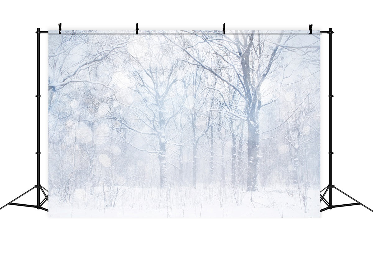 Photo Backdrop Winter Silvery White Frosted Grove Backdrop UK BRP11-21