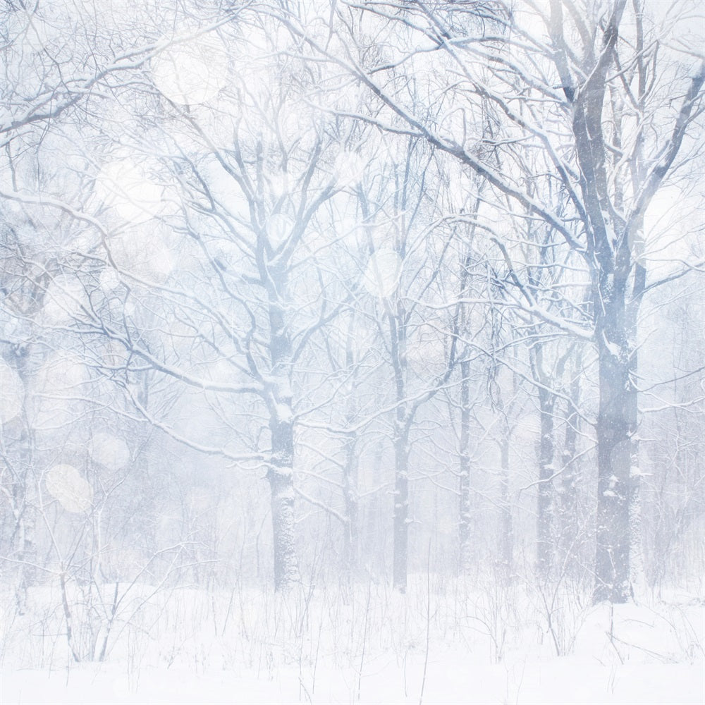 Photo Backdrop Winter Silvery White Frosted Grove Backdrop UK BRP11-21