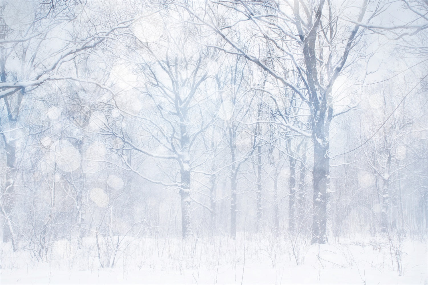 Photo Backdrop Winter Silvery White Frosted Grove Backdrop UK BRP11-21