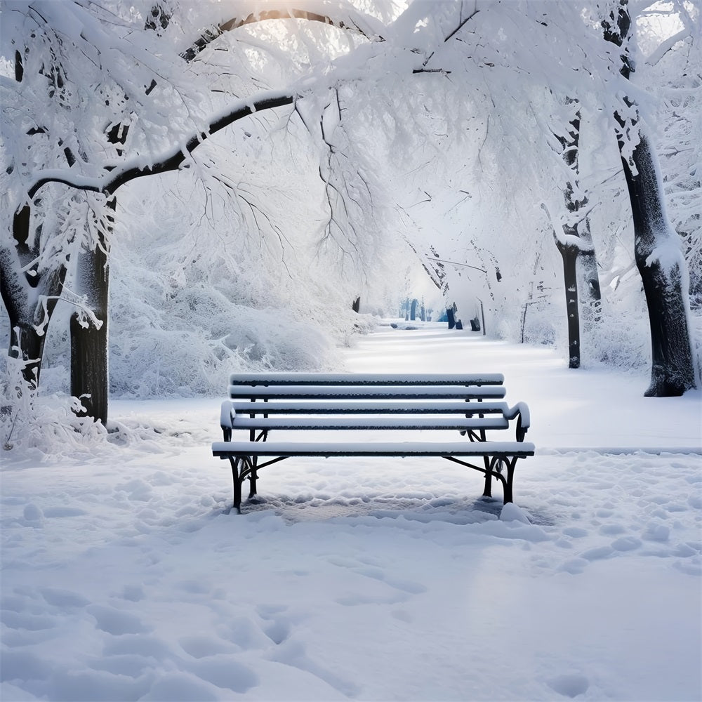 Winter Backdrops Photography Blissful Park Scene Bench Backdrop UK BRP11-23