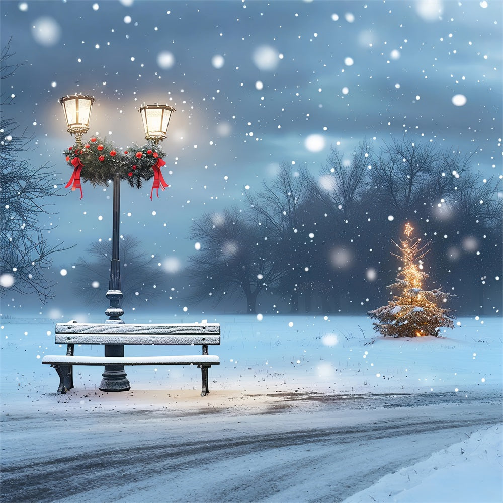 Winter Backdrop Photography Cozy Holiday Park Scene Backdrop UK BRP11-24