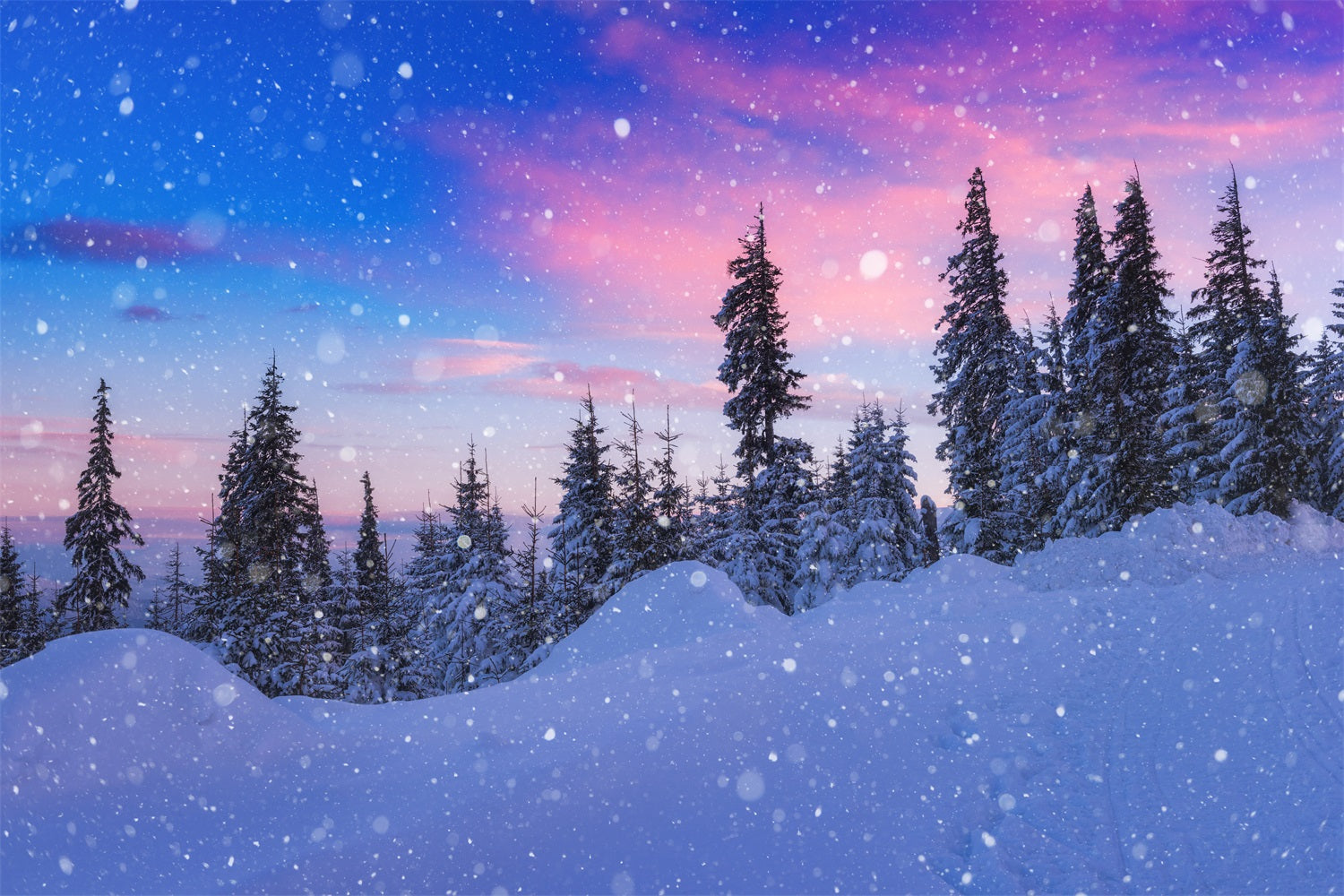 Winter Snow Backdrop Beautiful Sky Frosted Evergreens Backdrop UK BRP11-25