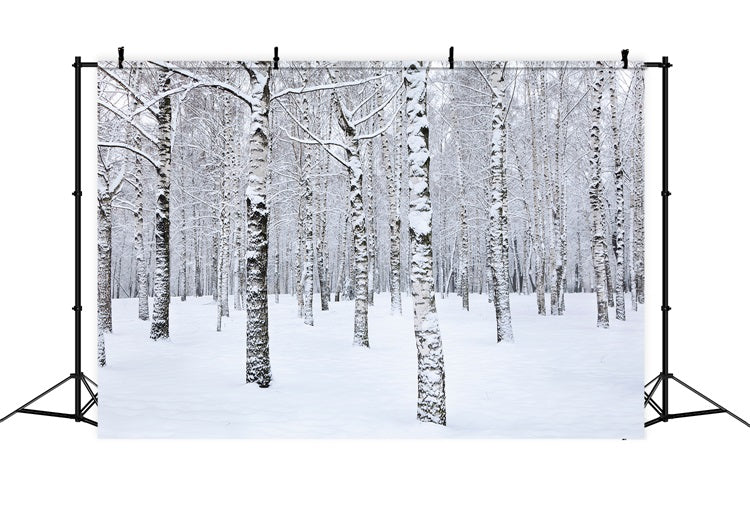 Winter Photo Backdrop Birch Trees Snowy Landscape Backdrop UK BRP11-26