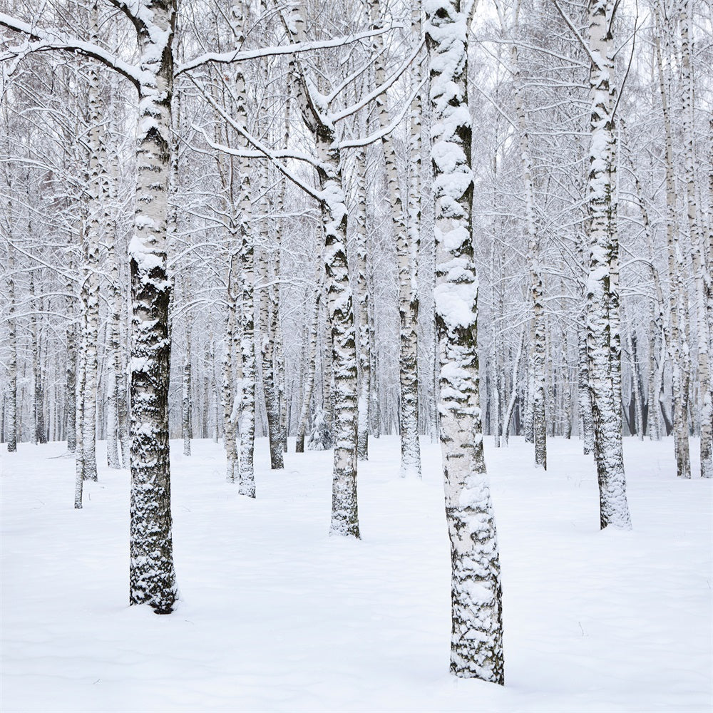 Winter Photo Backdrop Birch Trees Snowy Landscape Backdrop UK BRP11-26