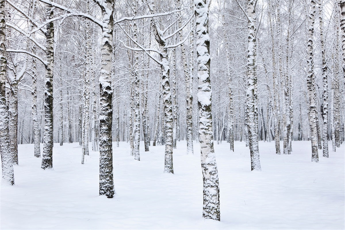 Winter Photo Backdrop Birch Trees Snowy Landscape Backdrop UK BRP11-26