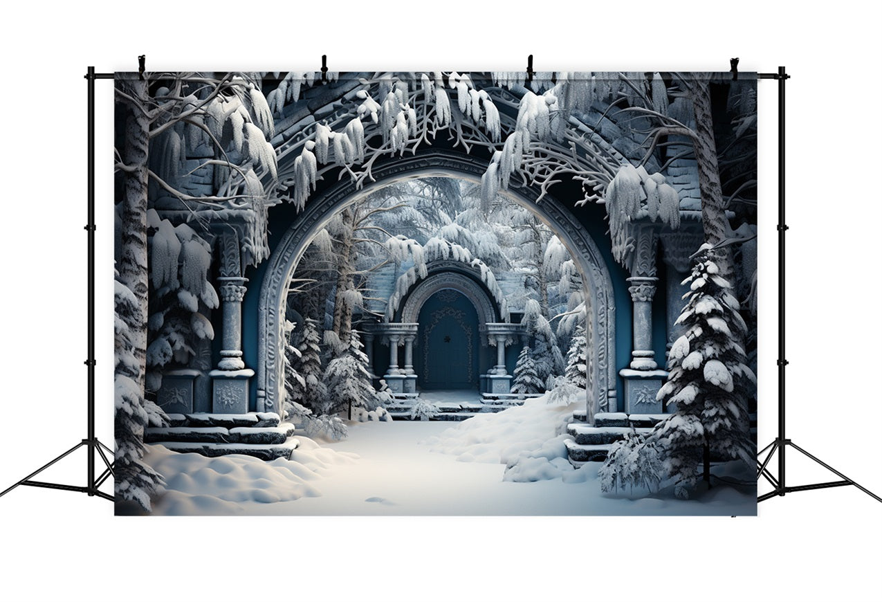 Winter Scene Photo Backdrop Castle Ruins Arch Backdrop UK BRP11-263