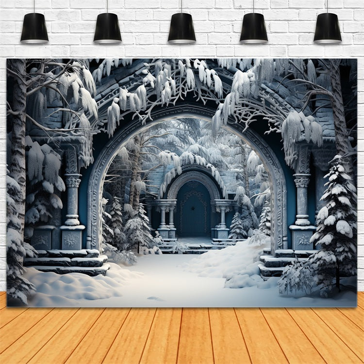 Winter Scene Photo Backdrop Castle Ruins Arch Backdrop UK BRP11-263