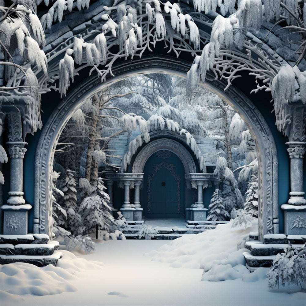 Winter Scene Photo Backdrop Castle Ruins Arch Backdrop UK BRP11-263