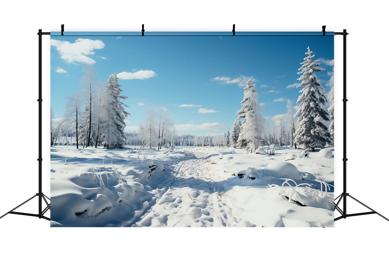 Winter Woods Backdrop Frosted Trees Blue Sky Backdrop UK BRP11-266