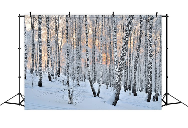 Winter Photo Backdrop Peaceful Dusk Birch Forest Backdrop UK BRP11-27