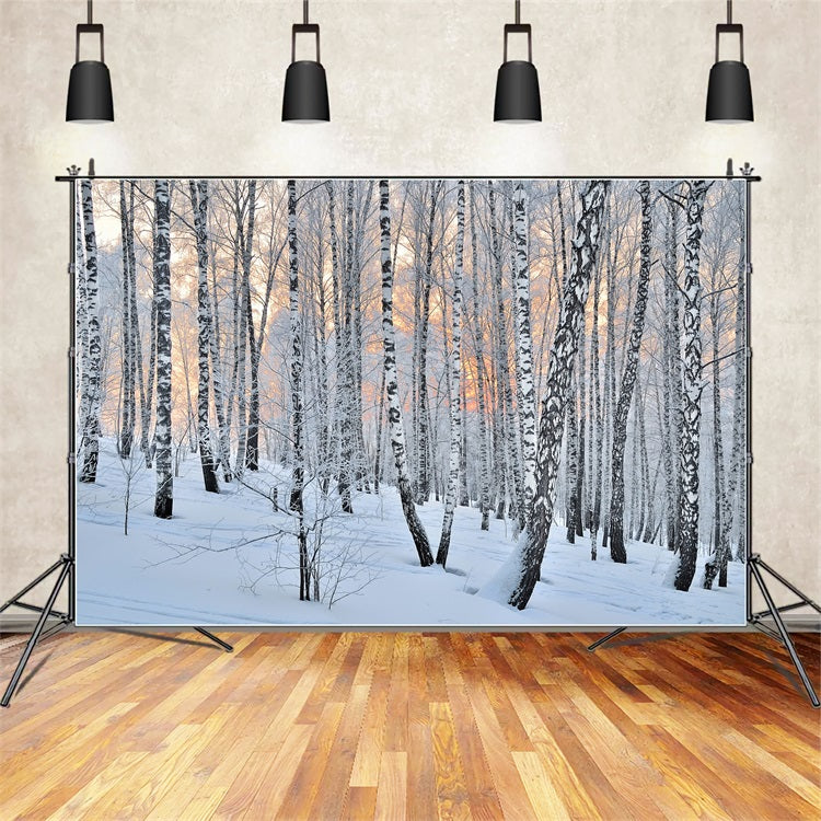 Winter Photo Backdrop Peaceful Dusk Birch Forest Backdrop UK BRP11-27