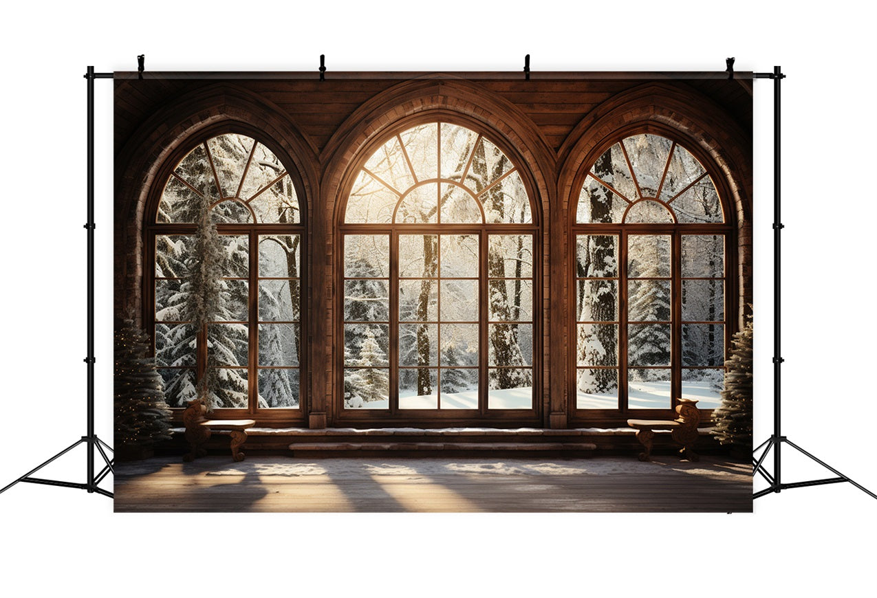 Winter Backdrop Scenes Sunlit Wooden Arched Window Backdrop UK BRP11-271