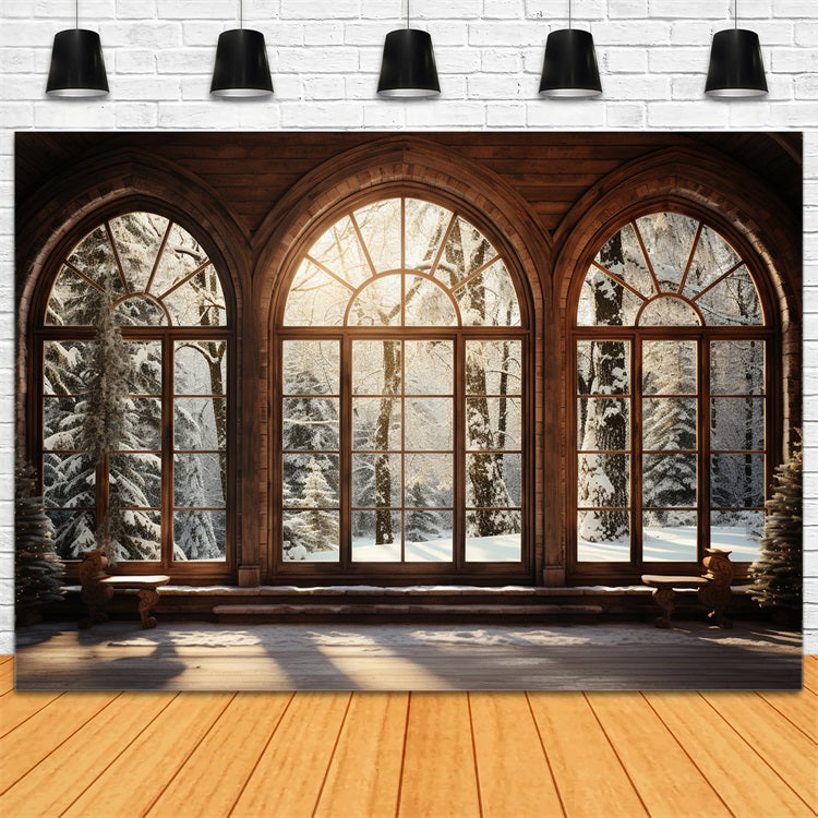 Winter Backdrop Scenes Sunlit Wooden Arched Window Backdrop UK BRP11-271