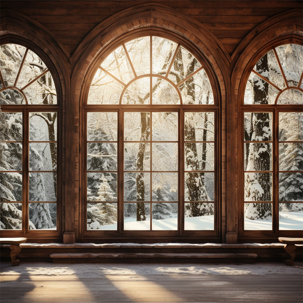 Winter Backdrop Scenes Sunlit Wooden Arched Window Backdrop UK BRP11-271