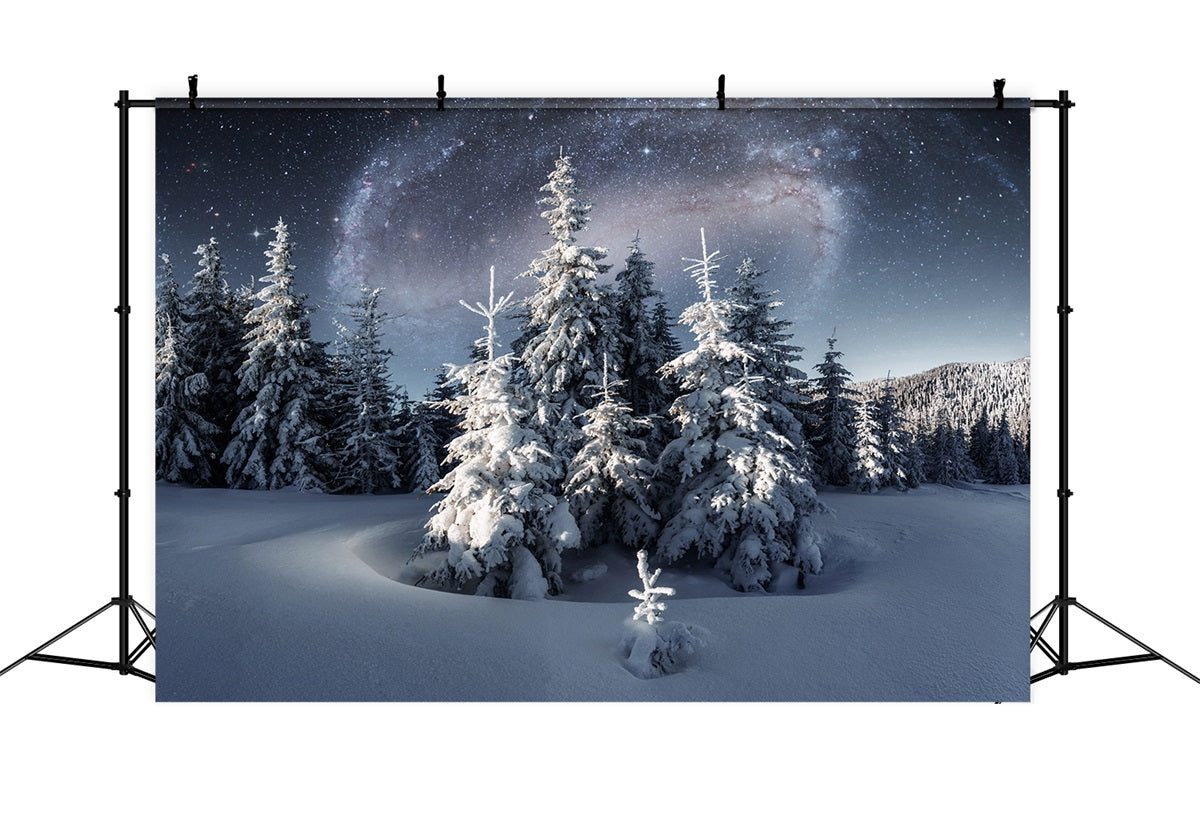 Winter Backdrop Magical Night Sky Frosty Evergreens Backdrop UK BRP11-28