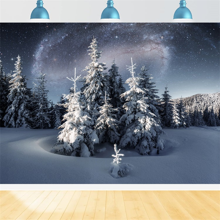 Winter Backdrop Magical Night Sky Frosty Evergreens Backdrop UK BRP11-28