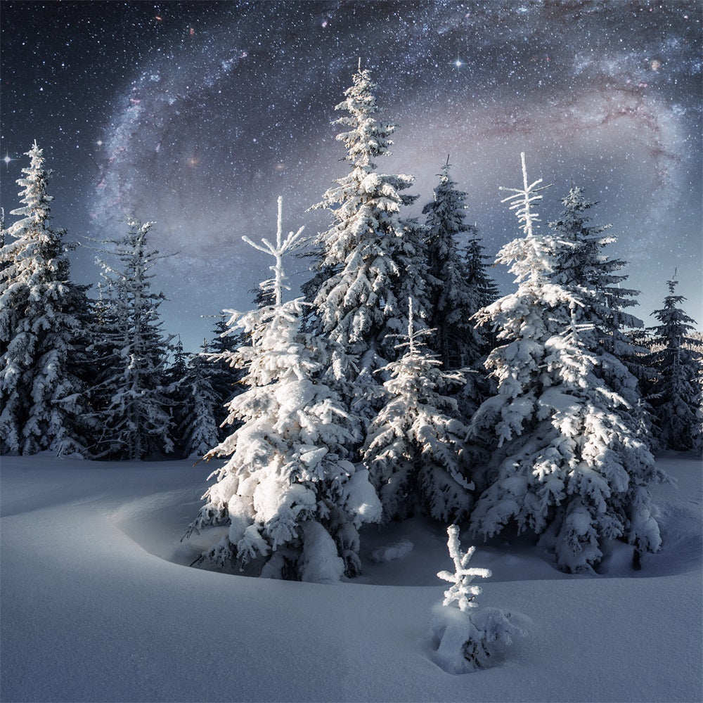 Winter Backdrop Magical Night Sky Frosty Evergreens Backdrop UK BRP11-28