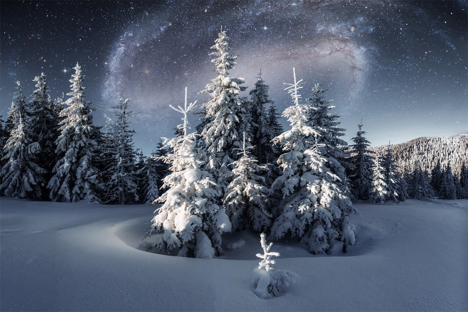 Winter Backdrop Magical Night Sky Frosty Evergreens Backdrop UK BRP11-28