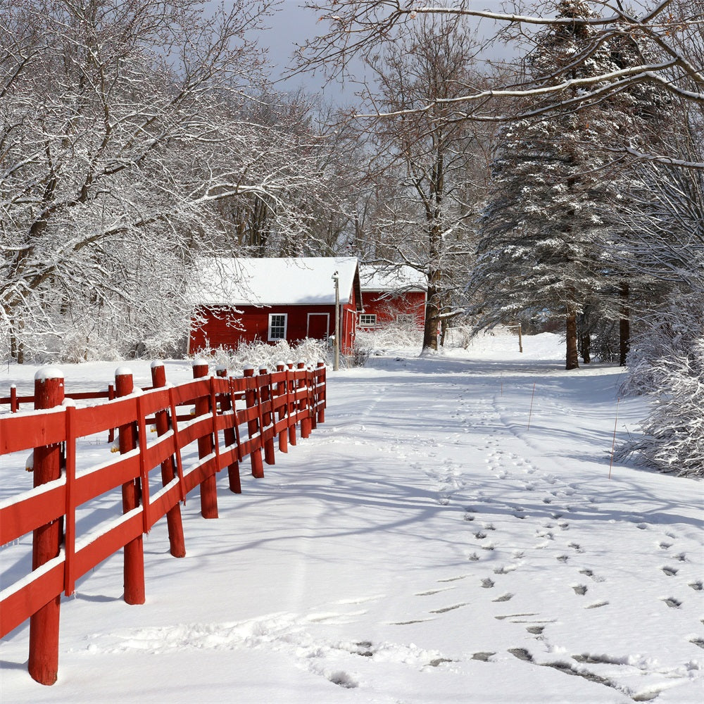 Winter Backdrops Rustic Red Barn Wonderland Backdrop UK BRP11-29