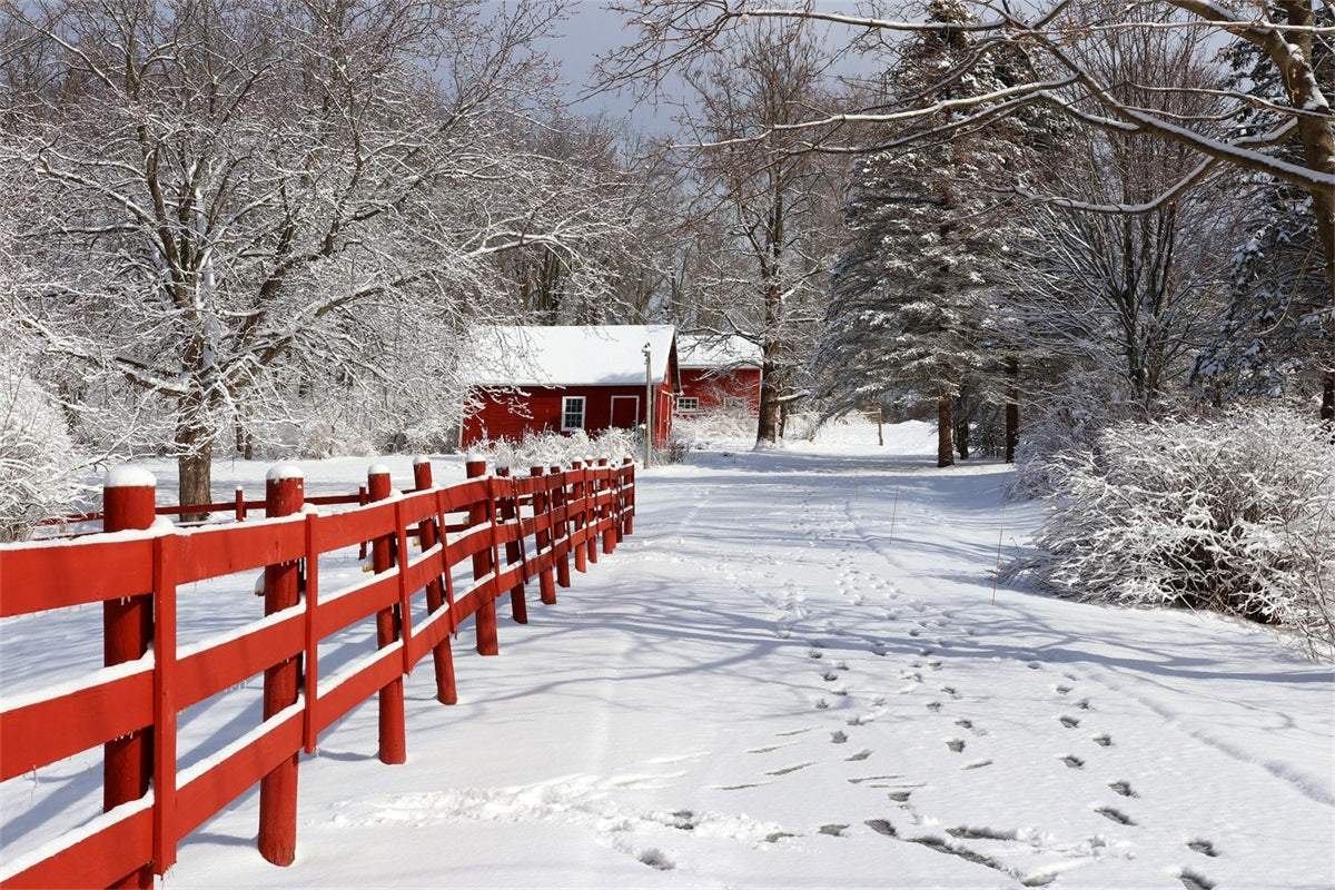 Winter Backdrops Rustic Red Barn Wonderland Backdrop UK BRP11-29