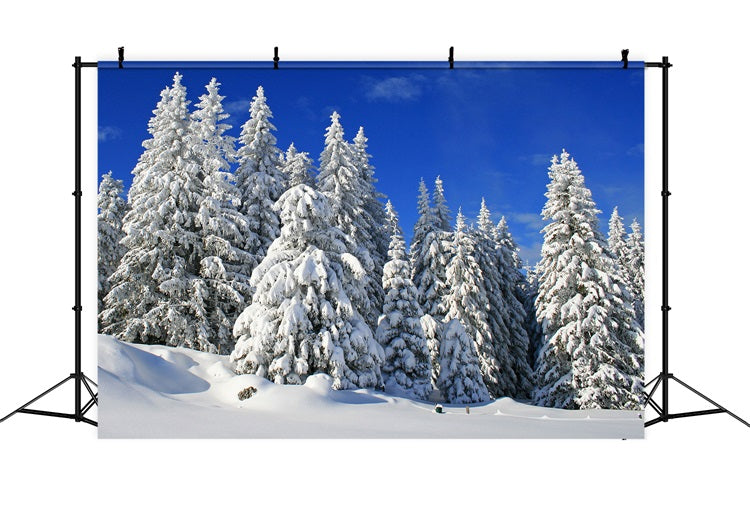 Winter Backdrop Frosted Trees Vibrant Sky Backdrop UK BRP11-3