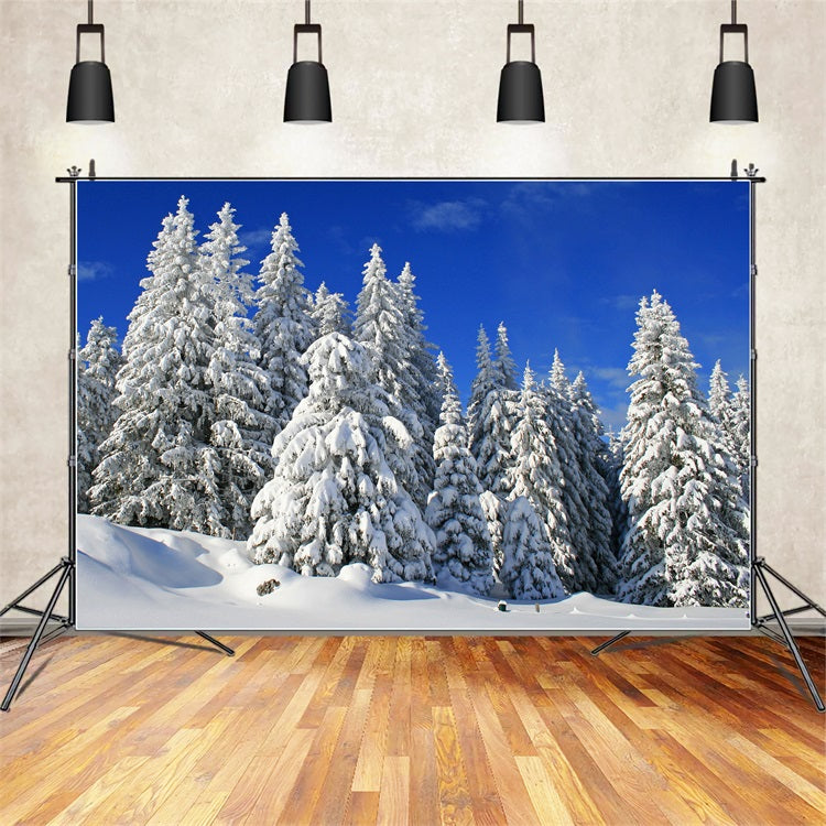 Winter Backdrop Frosted Trees Vibrant Sky Backdrop UK BRP11-3