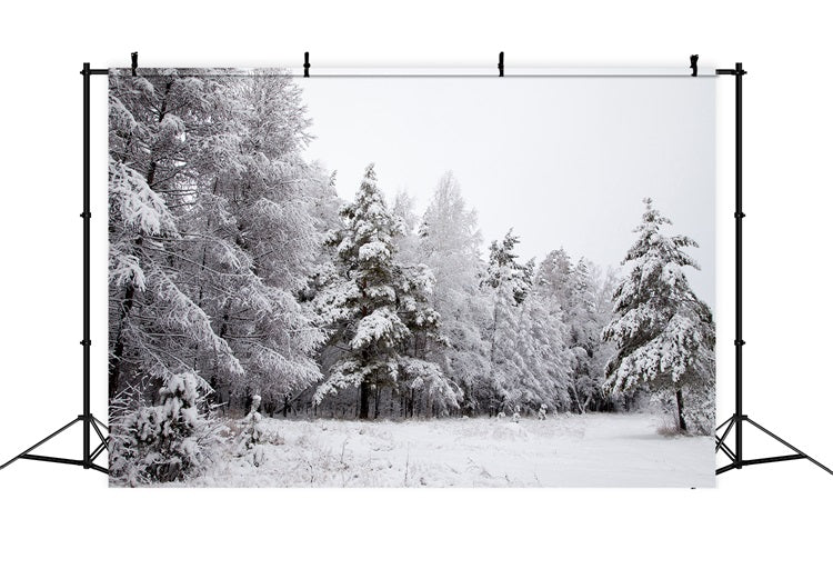 Winter Backdrops Snowy Landscape Icy Branches Backdrop UK BRP11-4